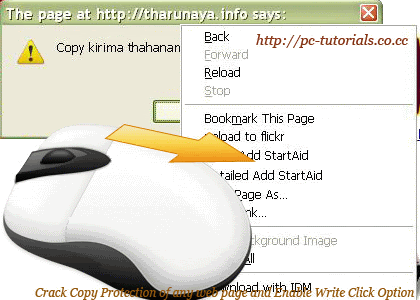 Crack Copy Protection of Web pages