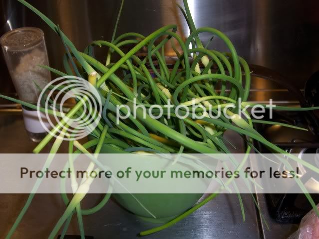 Just... Summer Garlic Scapes