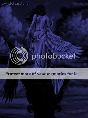 angel with broken wing Pictures, Images and Photos