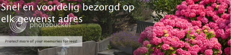 U vindt hier elke tuinplant zoals coniferen, klimplanten, vaste planten, haagplanten, fruitplanten, etc.. Eenvoudig thuis geleverd met 100% groei- en bloeigarantie. U vindt hier elke tuinplant zoals coniferen, klimplanten, vaste planten, haagplanten, fruitplanten, etc.. Eenvoudig thuis geleverd met 100% groei- en bloeigarantie.
