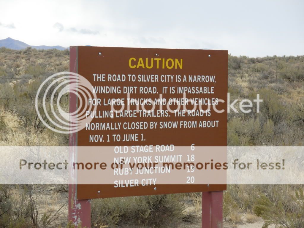 11-28-07027.jpg