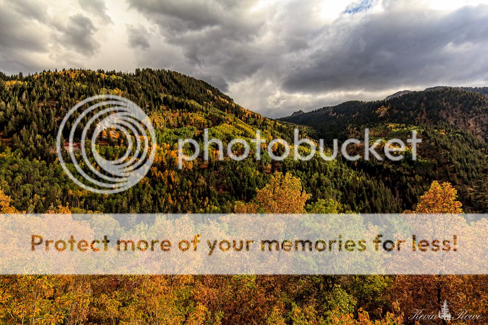 IMAGE: http://i430.photobucket.com/albums/qq28/kev83202/IMG_7037-Edit-2.jpg