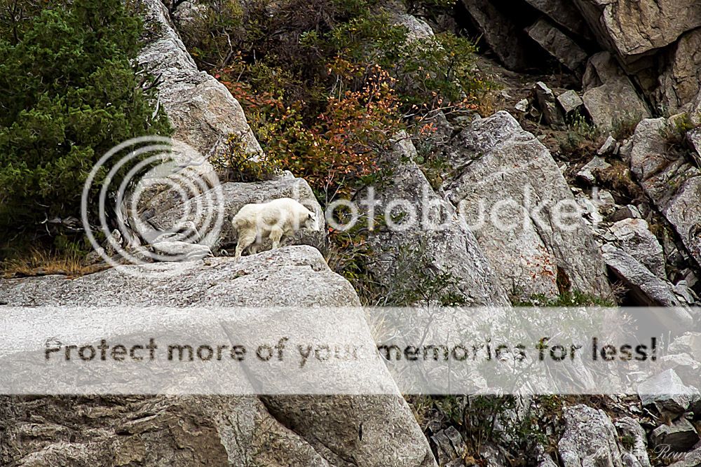 IMAGE: http://i430.photobucket.com/albums/qq28/kev83202/IMG_7046-Edit-2.jpg