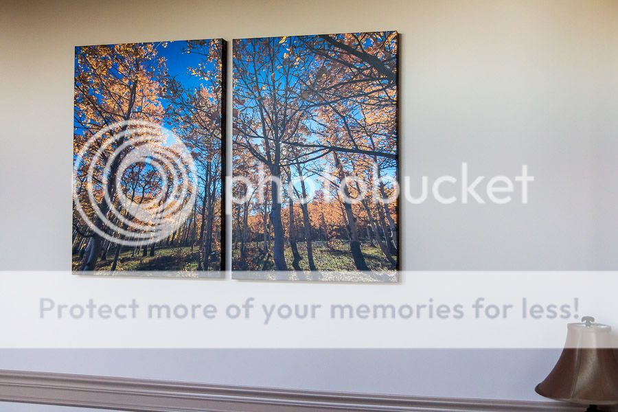 IMAGE: http://i430.photobucket.com/albums/qq28/kev83202/IMG_8304.jpg