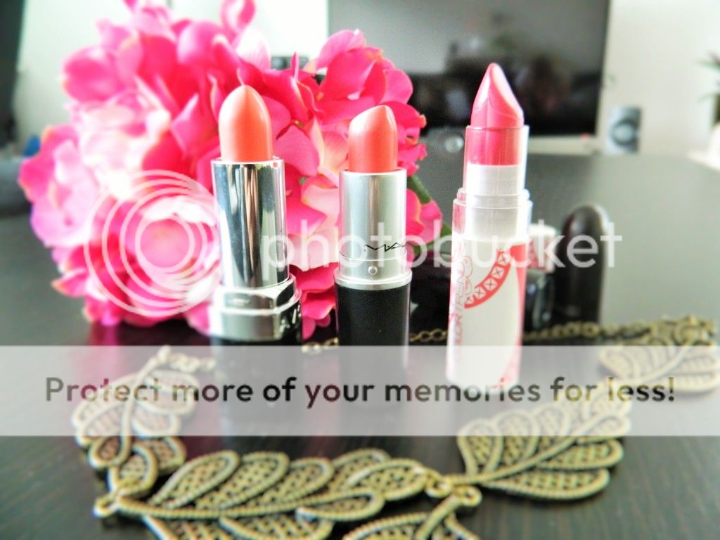 photo DSCN3375_zpstcyl8egn.jpg