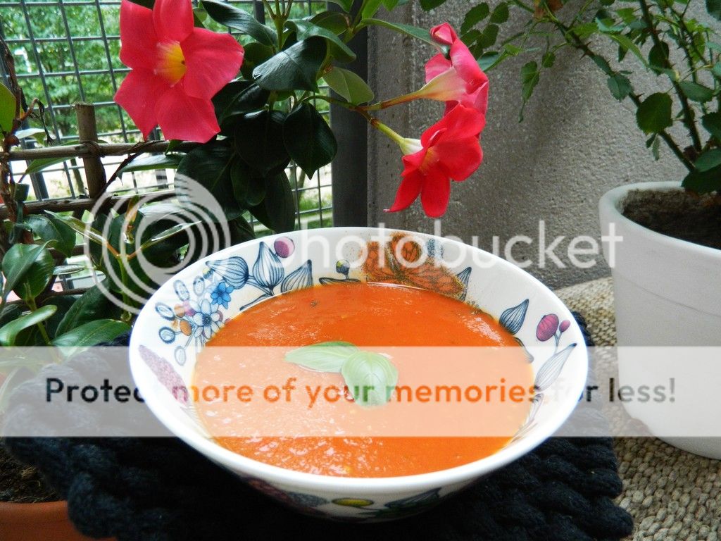 photo DSCN3502_zpsaoqyynlf.jpg