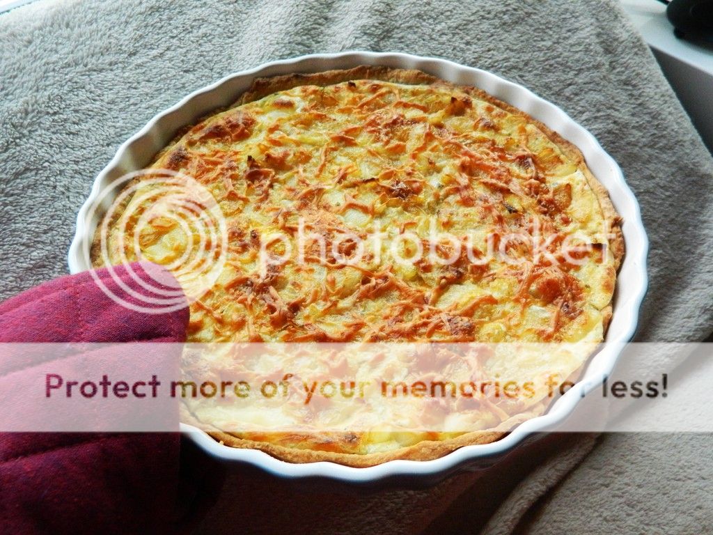 photo DSCN3556_zpsfw4u0xul.jpg