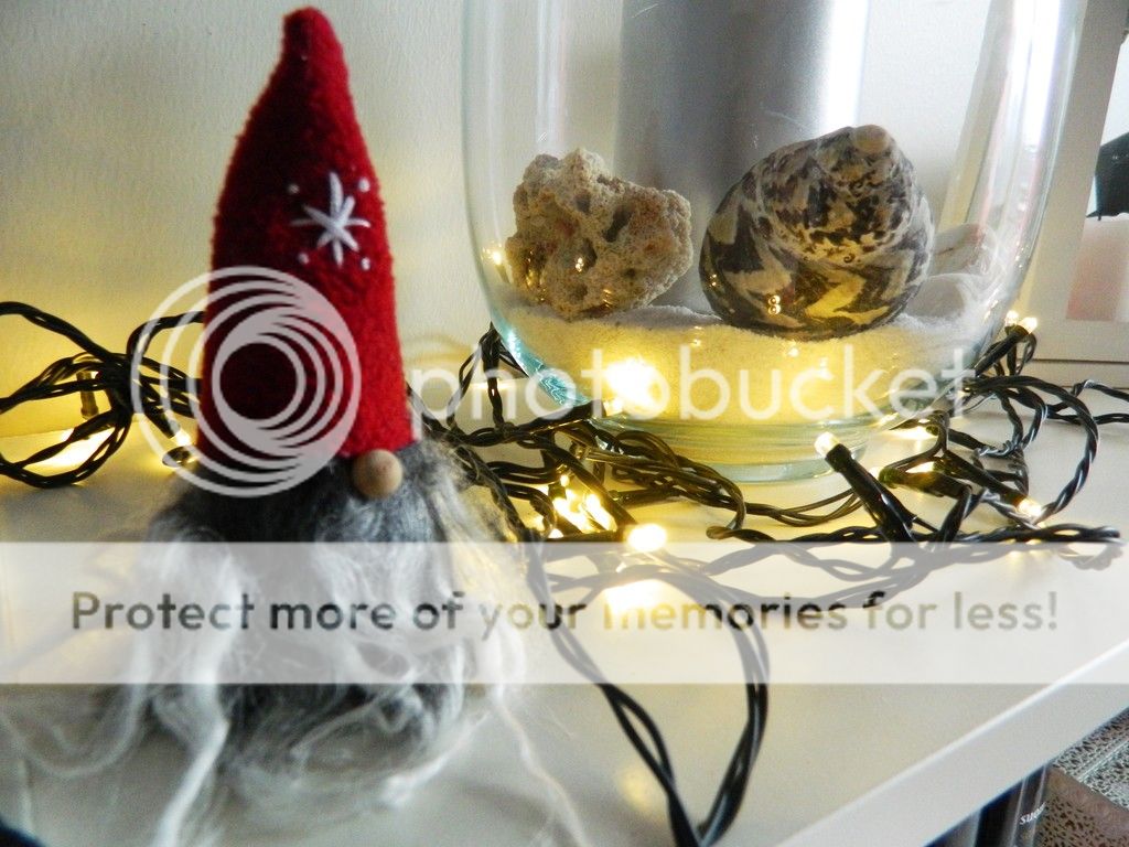  photo DSCN3698_zpsdjcb5xib.jpg