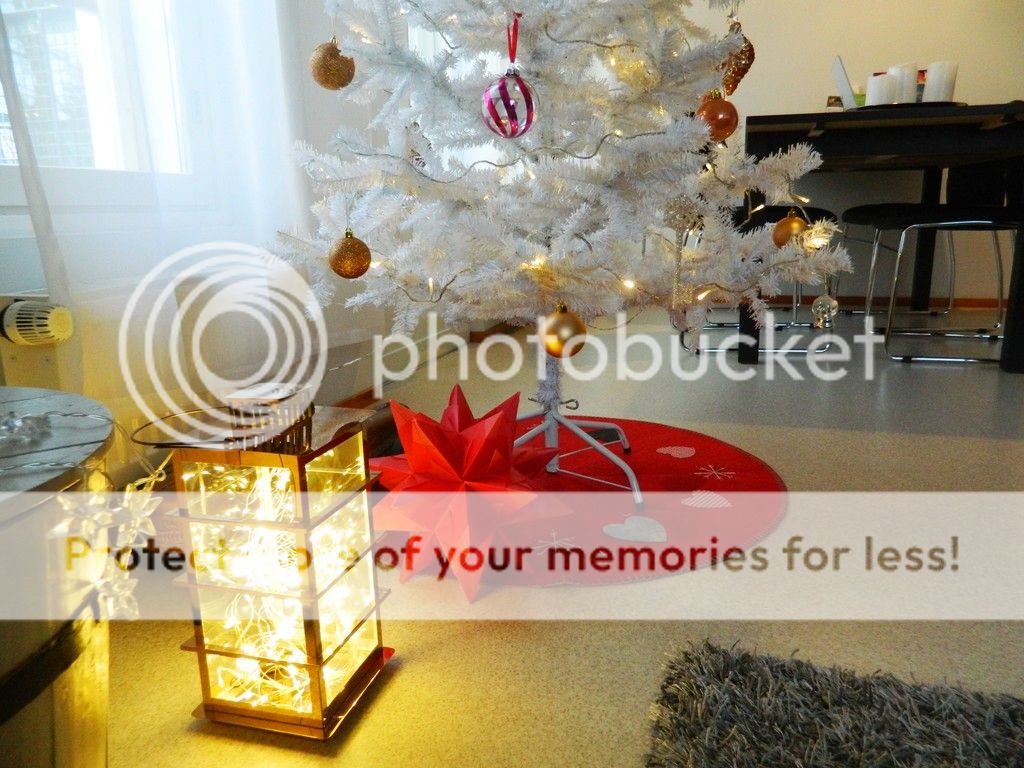  photo DSCN3702_zpsbluv5hab.jpg