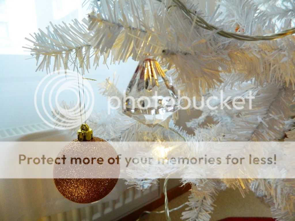  photo DSCN3706_zpsjbrwjnqq.jpg