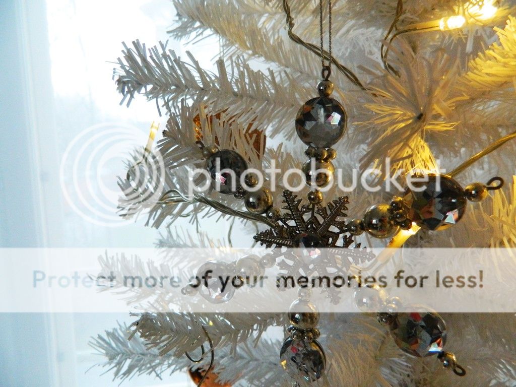  photo DSCN3707_zpsrr22e2ue.jpg