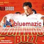 bollywoodbuzz.jpg picture by BlueMazic