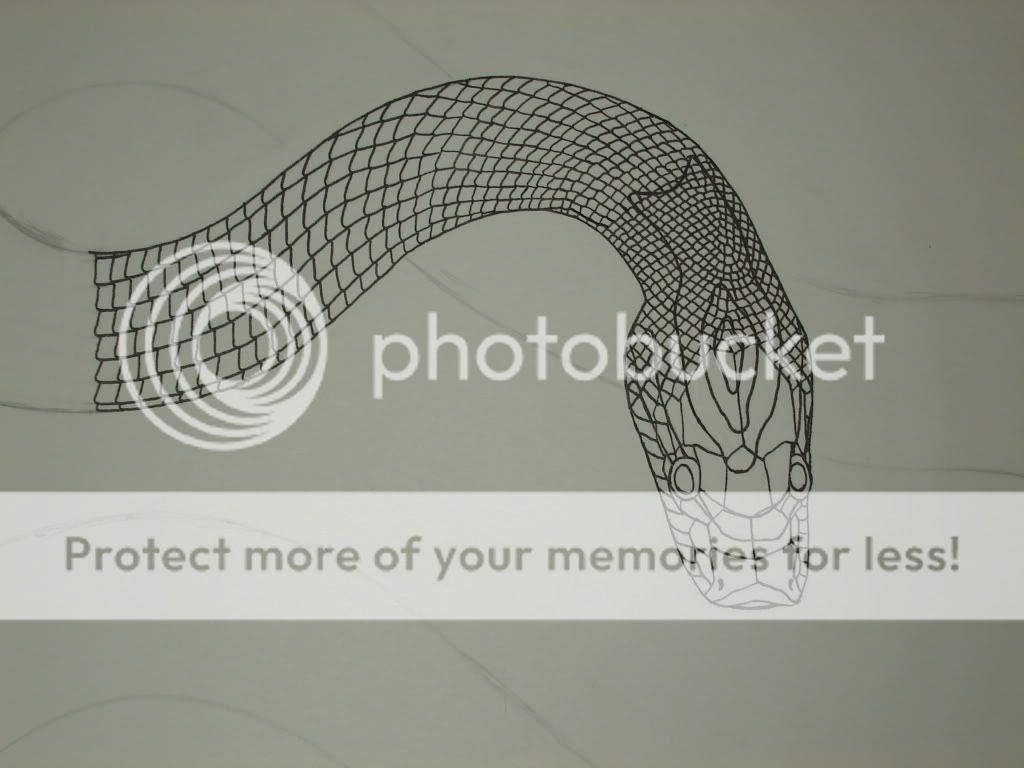 drawings005.jpg