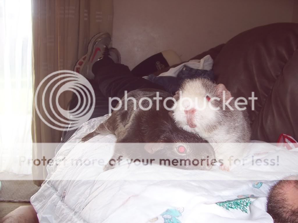 100_2093.jpg