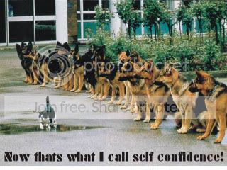 SELF.jpg